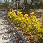 Apartmán Olive Tree Garden&poll View 4 2, 130 M2 With Tiki Bar Peroj