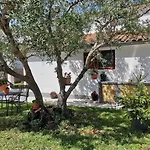 Olive Tree Garden&poll View 4 2, 130 M2 With Tiki Bar Apartmán Peroj
