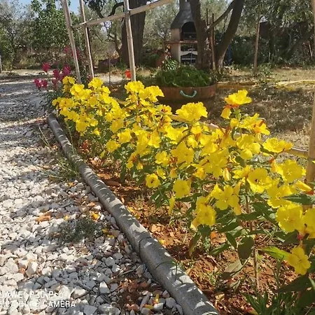 公寓 Olive Tree Garden&poll View 4 2, 130 M2 With Tiki Bar 佩罗杰