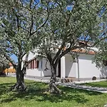 Olive Tree Garden&poll View 4 2, 130 M2 With Tiki Bar