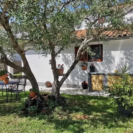 Olive Tree Garden&poll View 4 2, 130 M2 With Tiki Bar Apartament Peroj