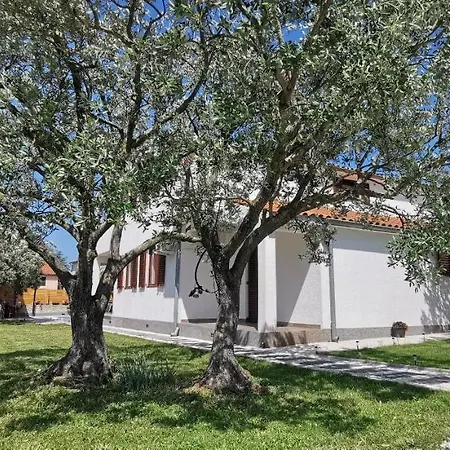 Olive Tree Garden&poll View 4 2, 130 M2 With Tiki Bar