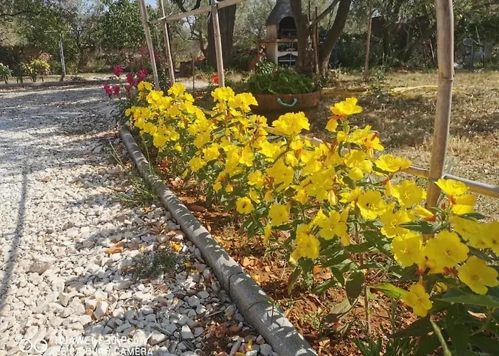 Apartmán Olive Tree Garden&poll View 4 2, 130 M2 With Tiki Bar Peroj