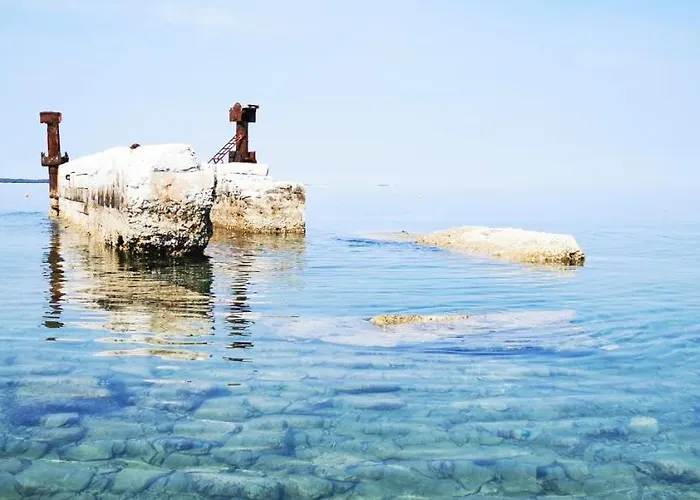 Olive Tree Garden&poll View 4 2, 130 M2 With Tiki Bar