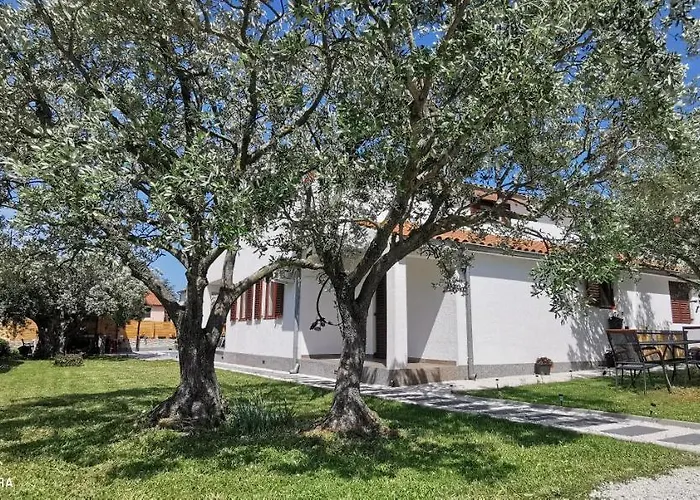 Olive Tree Garden&poll View 4 2, 130 M2 With Tiki Bar