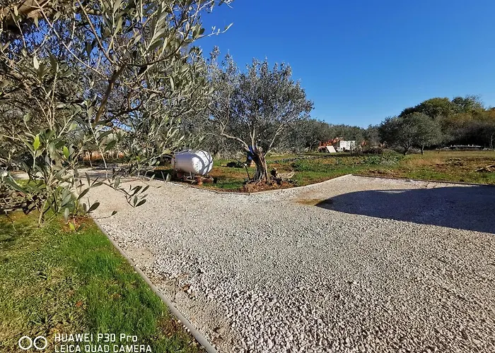 Apartment Olive Tree Garden&poll View 4 2, 130 M2 With Tiki Bar *